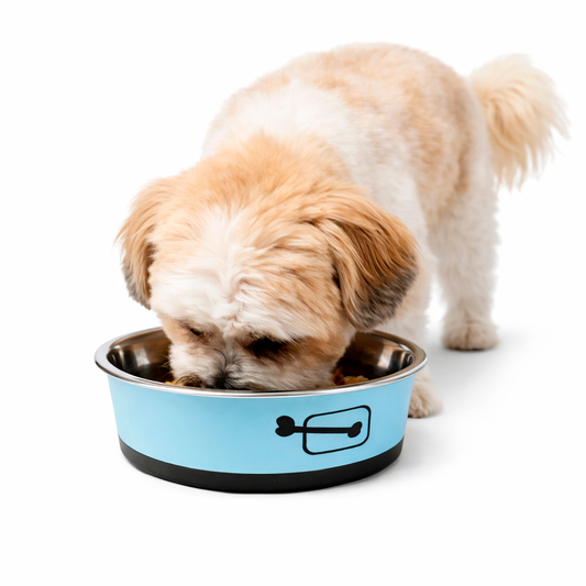 Tigela para Ração - Aço Inox tamanho M - PRÉ-VENDA