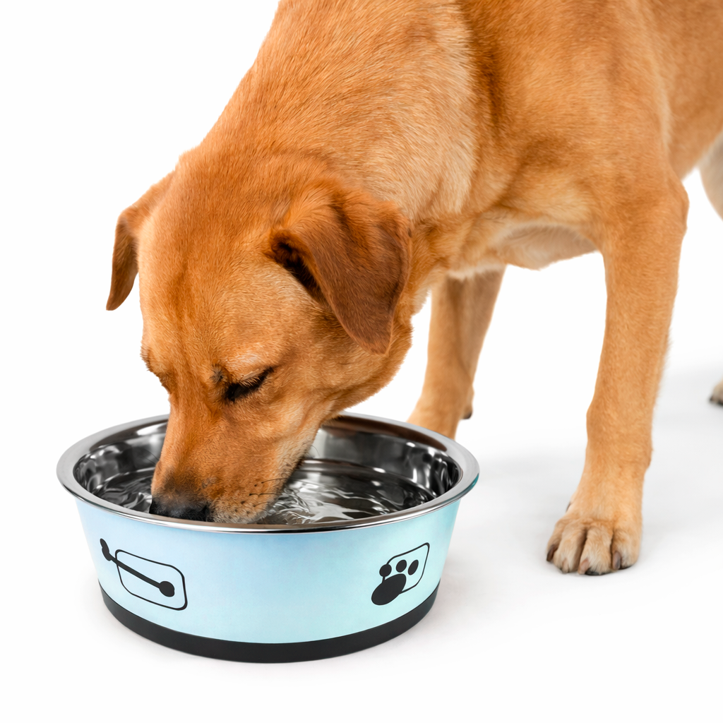 Tigela para Ração - Aço Inox tamanho G - PRÉ-VENDA