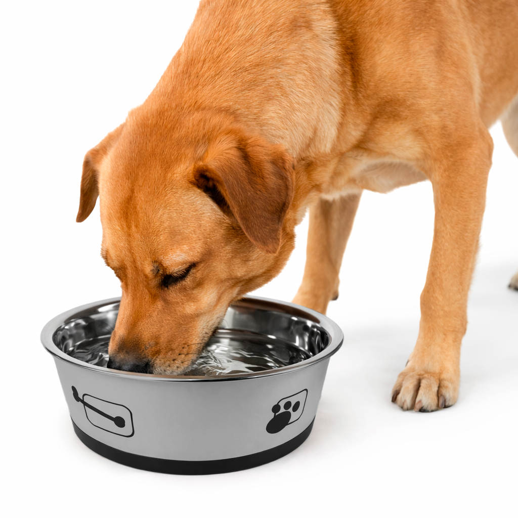 Tigela para Ração - Aço Inox tamanho G - PRÉ-VENDA