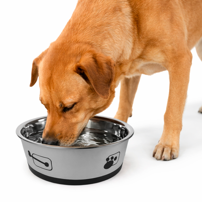 Tigela para Ração - Aço Inox tamanho G - PRÉ-VENDA