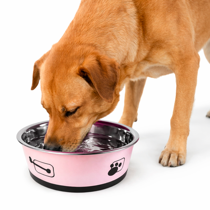 Tigela para Ração - Aço Inox tamanho G - PRÉ-VENDA