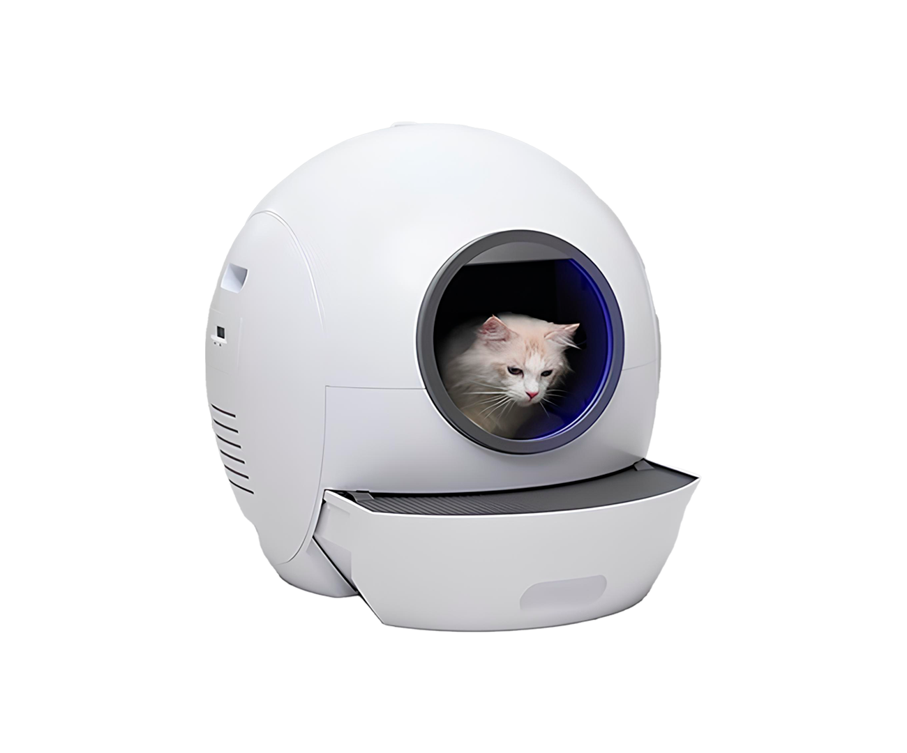 Caixa de Areia Espacial para Gatos